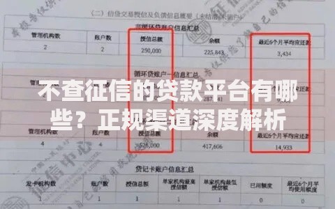 不查征信的贷款平台有哪些？正规渠道深度解析