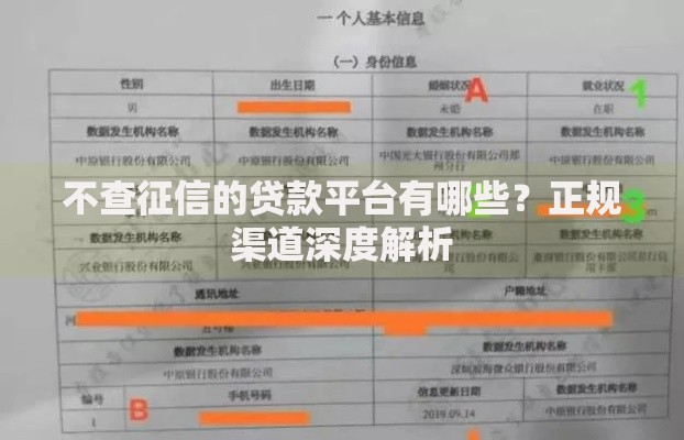 不查征信的贷款平台有哪些？正规渠道深度解析