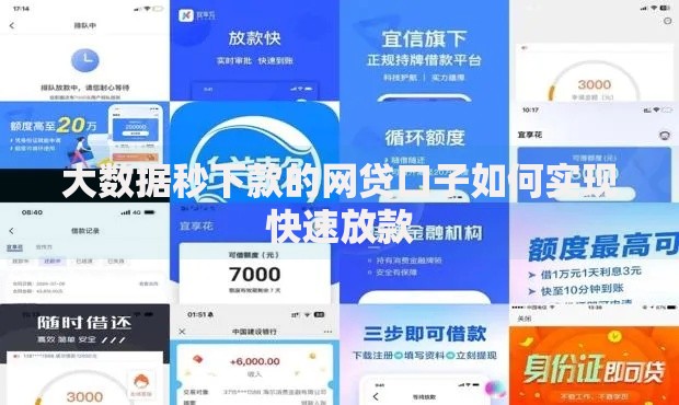 大数据秒下款的网贷口子如何实现快速放款