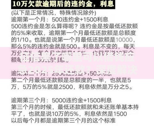 征信黑了哪里可以借钱应急2025年还款?深度解决方案解析 征信黑了哪里可以借钱应急2025年还款?深度解决方案解析