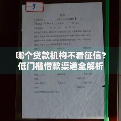 哪个贷款机构不看征信？低门槛借款渠道全解析
