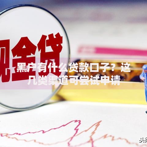 黑户有什么贷款口子？这几类渠道可尝试申请