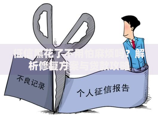征信黑花了不用怕麻烦吗？解析修复方案与贷款攻略