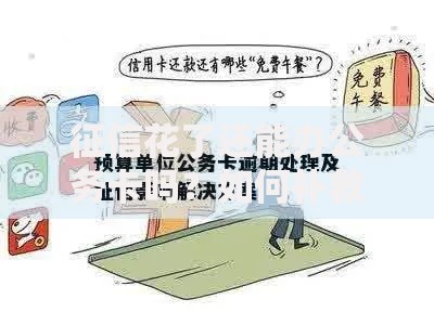 征信花了还能办公务卡吗？如何补救申请流程解析