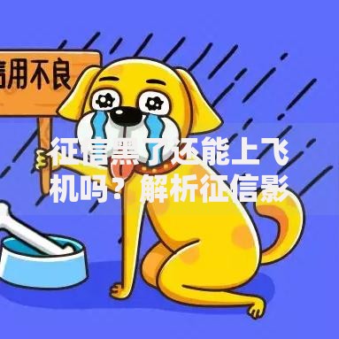 征信黑了还能上飞机吗？解析征信影响与乘机规定