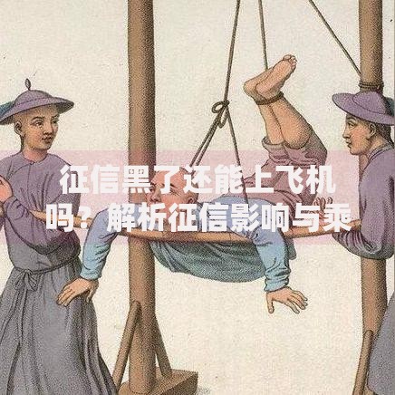 征信黑了还能上飞机吗？解析征信影响与乘机规定