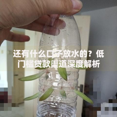 还有什么口子放水的？低门槛贷款渠道深度解析