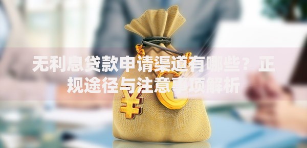 无利息贷款申请渠道有哪些？正规途径与注意事项解析