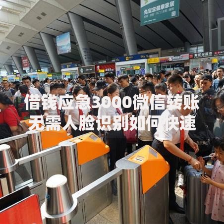 借钱应急3000微信转账无需人脸识别如何快速申请到账