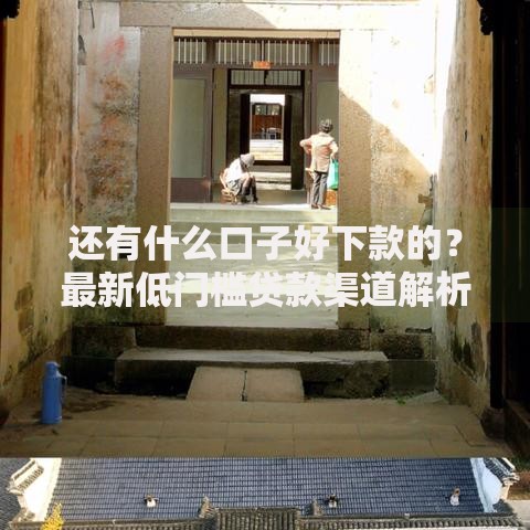 还有什么口子好下款的？最新低门槛贷款渠道解析