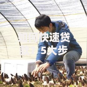 如何快速贷款？5大步骤助你高效获批