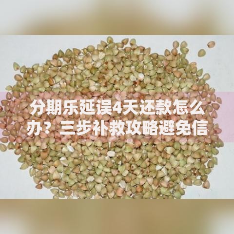 分期乐延误4天还款怎么办？三步补救攻略避免信用受损