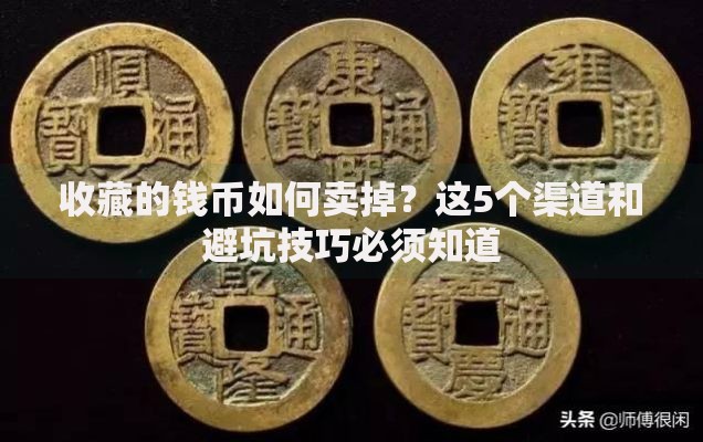收藏的钱币如何卖掉？这5个渠道和避坑技巧必须知道