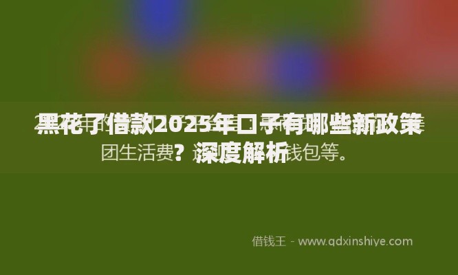 黑花了借款2025年口子有哪些新政策？深度解析