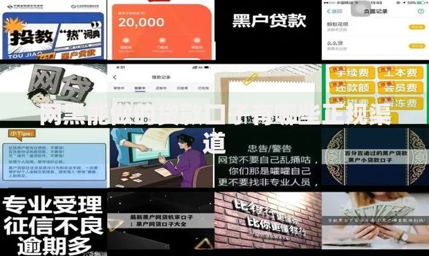 网黑能做的贷款口子有哪些正规渠道