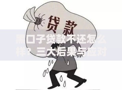 黑口子贷款不还怎么样？三大后果与应对策略解析