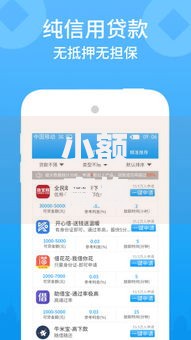 小额高炮贷款app：安全吗？如何选择？风险解析与合规指南