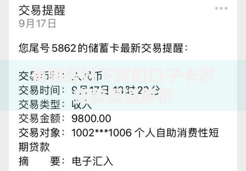 有哪些好下款的口子卡农贷款渠道解析