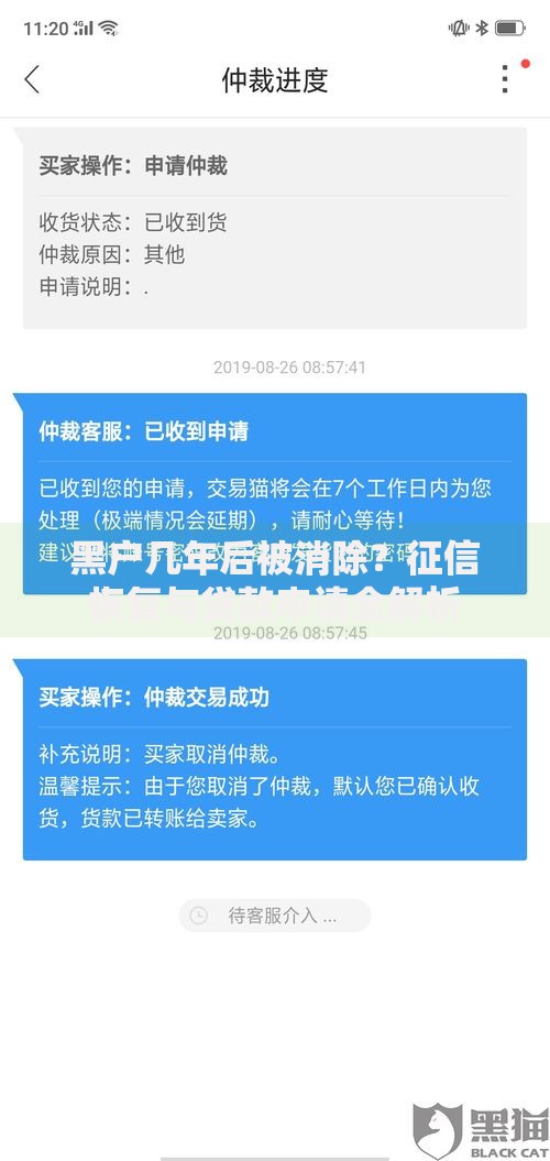 黑户几年后被消除？征信恢复与贷款申请全解析