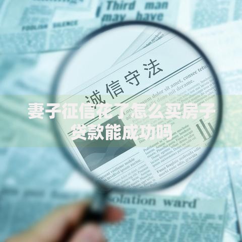妻子征信花了怎么买房子贷款能成功吗
