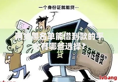 网贷黑名单能借到款的平台有哪些选择？