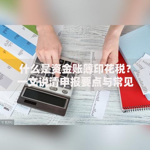 什么是资金账簿印花税？一文说清申报要点与常见误区