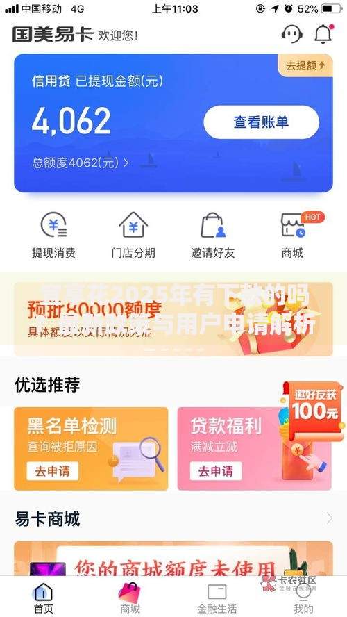 宜享花2025年有下款的吗？最新政策与用户申请解析