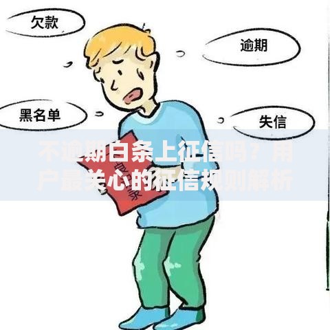 不逾期白条上征信吗？用户最关心的征信规则解析