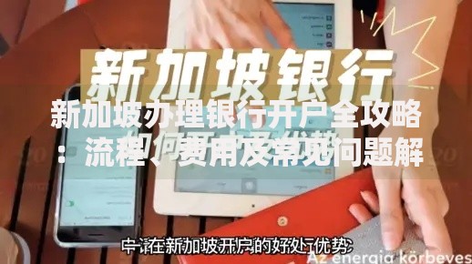 新加坡办理银行开户全攻略：流程、费用及常见问题解析