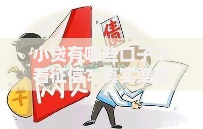 小贷有哪些口子不看征信？真实渠道深度解析