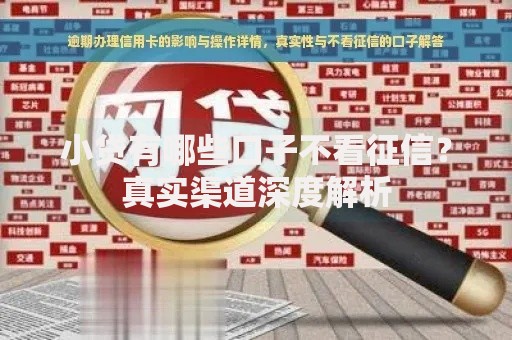 小贷有哪些口子不看征信？真实渠道深度解析