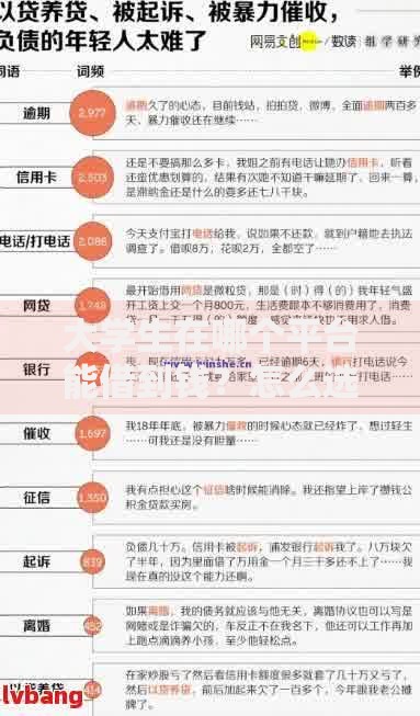 大学生在哪个平台能借到钱？怎么选？正规渠道对比与申请攻略