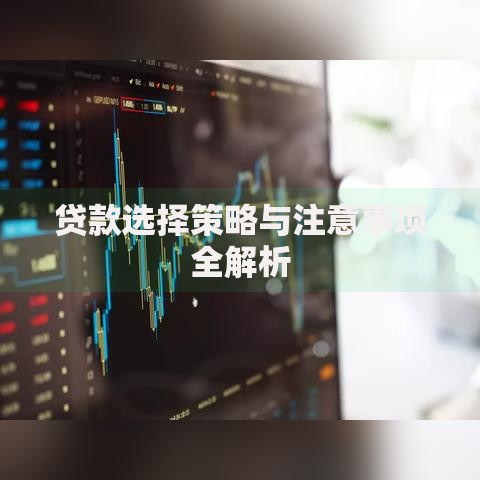 贷款选择策略与注意事项全解析