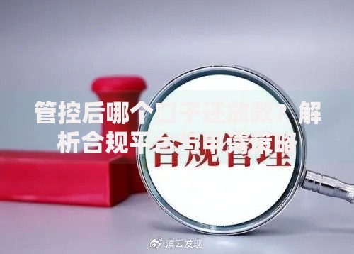 管控后哪个口子还放款？解析合规平台与申请策略