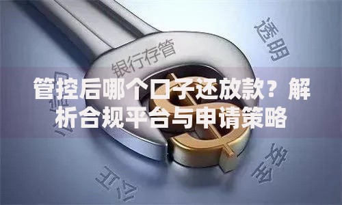 管控后哪个口子还放款？解析合规平台与申请策略