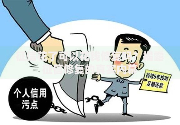 征信花了可以花钱修复吗?揭露征信修复的真实内幕 征信花了可以花钱修复吗?揭露征信修复的真实内幕