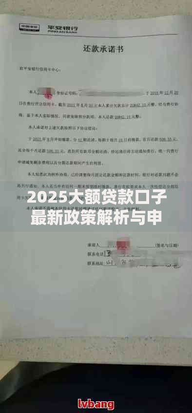 2025大额贷款口子最新政策解析与申请条件全指南