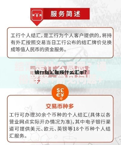 结汇是什么意思?通俗解释+常见问题+操作技巧 结汇是什么意思?通俗解释+常见问题+操作技巧