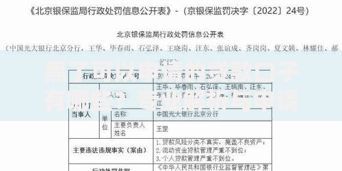 黑了可以申请的贷款口子有哪些？专业解析与申请指南