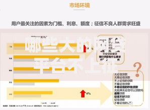 哪些大的网贷平台不上征信记录?深度解析这些平台特点 哪些大的网贷平台不上征信记录?深度解析这些平台特点