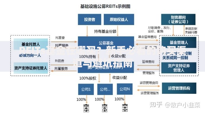 REITs基金在哪买？新手必看的购买渠道与避坑指南