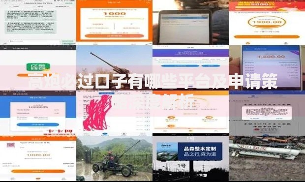 高炮必过口子有哪些平台及申请策略深度解析