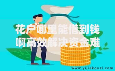 花户哪里能借到钱啊高效解决资金难题的合法途径 花户哪里能借到钱啊高效解决资金难题的合法途径