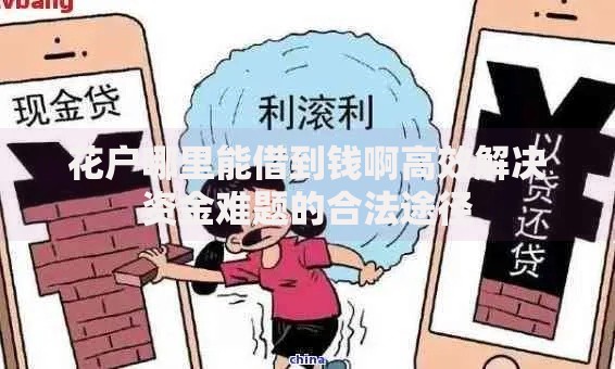 花户哪里能借到钱啊高效解决资金难题的合法途径 花户哪里能借到钱啊高效解决资金难题的合法途径