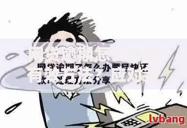 网贷逾期怎么办最有效方法?应对策略与解决指南 网贷逾期怎么办最有效方法?应对策略与解决指南