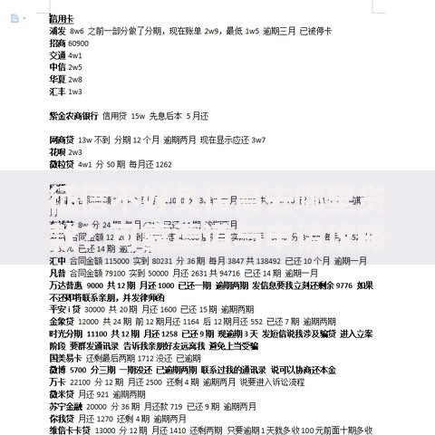 征信不好负债高去哪里贷款？可靠渠道与申请攻略解析