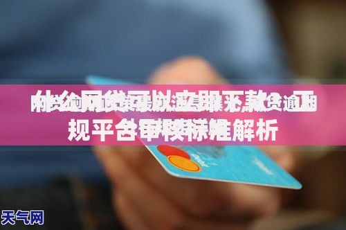 什么网贷可以立即下款？正规平台审核标准解析