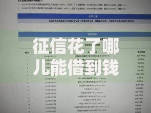 征信花了哪儿能借到钱?五类正规渠道深度测评 征信花了哪儿能借到钱?五类正规渠道深度测评