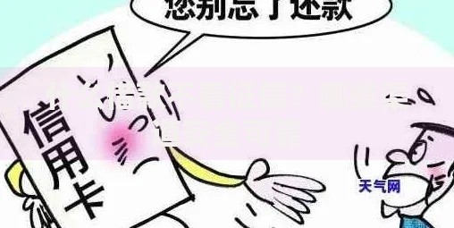 什么借款不看征信？哪些渠道安全可靠