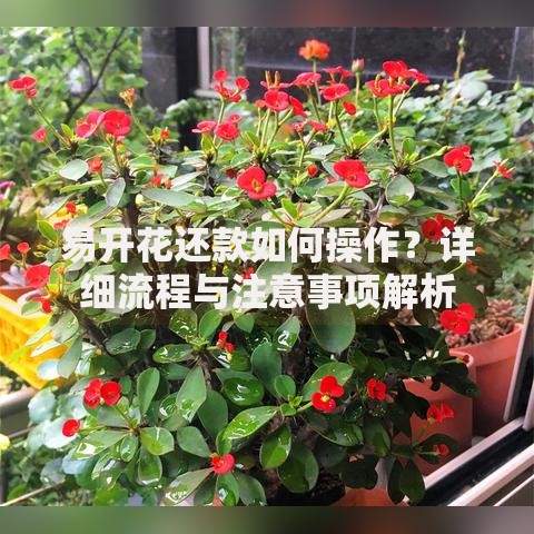 易开花还款如何操作？详细流程与注意事项解析